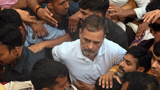 Lok Sabha LoP Rahul Gandhi during INDIA bloc MPs protest against Chief Election Commissioner Gyanesh Kumar near Jantar Mantar.
