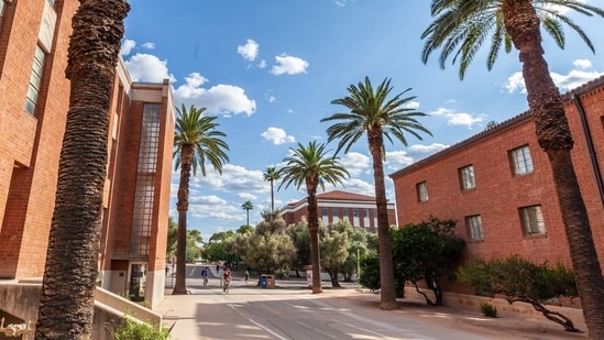 University of Arizona puts 21 Interfraternity Council chapters on ‘activities suspension’ amid investigation, misconduct reports(The University of Arizona﻿/Facebook)