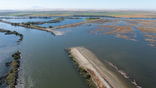 The California Department of Water Resources noted that the Delta is critical for drinking water and agriculture. The EcoRestore initiative targets habitat restoration, which includes significant projects like Lookout Slough, contributing vital resources for native fish and enhancing flood protection for local communities.