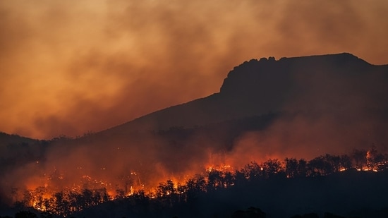 A vegetation fire was visible from both Temecula and Fallbrook in California. Image for representational purposes. (Unsplash)