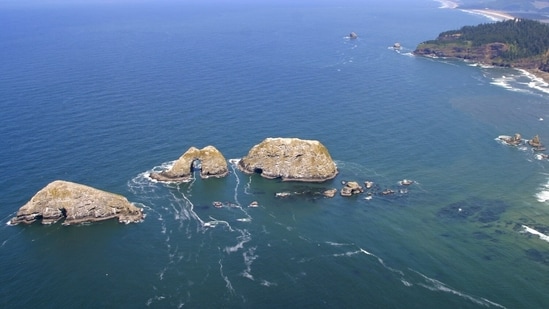 Three Arch Rocks National Wildlife Refuge, the first west of the Mississippi established in 1907, protects 15 acres of vital seabird and Steller sea lion habitats. The refuge remains closed to the public to safeguard its sensitive wildlife populations.
