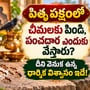 పితృ పక్షంలో చీమలకు పిండి, పంచదార ఎందుకు వేస్తారు? దీని వెనుక ఉన్న ధార్మిక విశ్వాసం ఇదే!