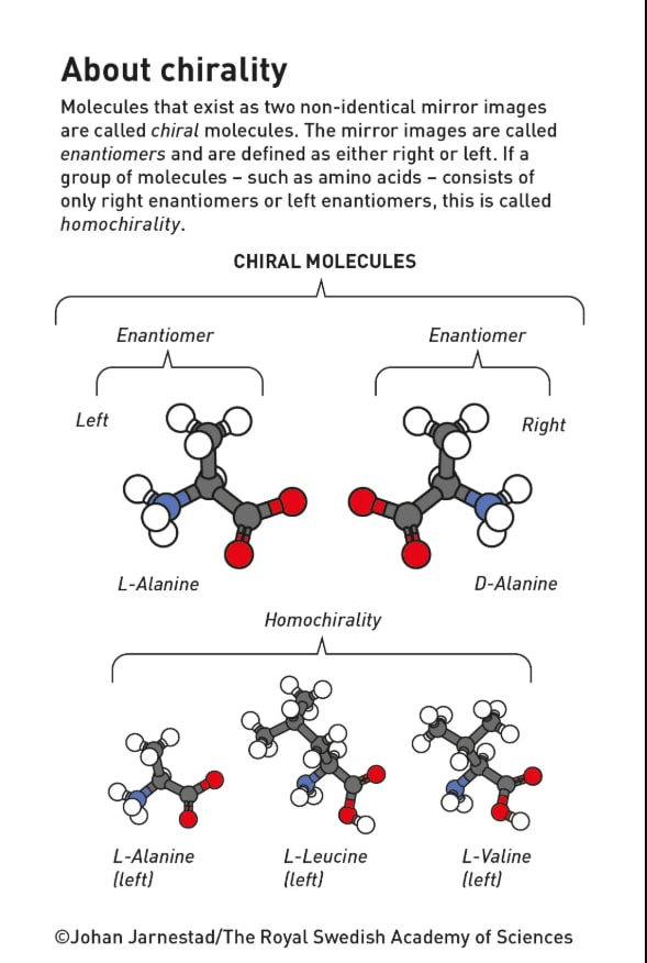 Chiral molecules (Johan Jarnestad/ The Royal Swedish Academy of Sciences) Chiral molecules (Johan Jarnestad/ The Royal Swedish Academy of Sciences)