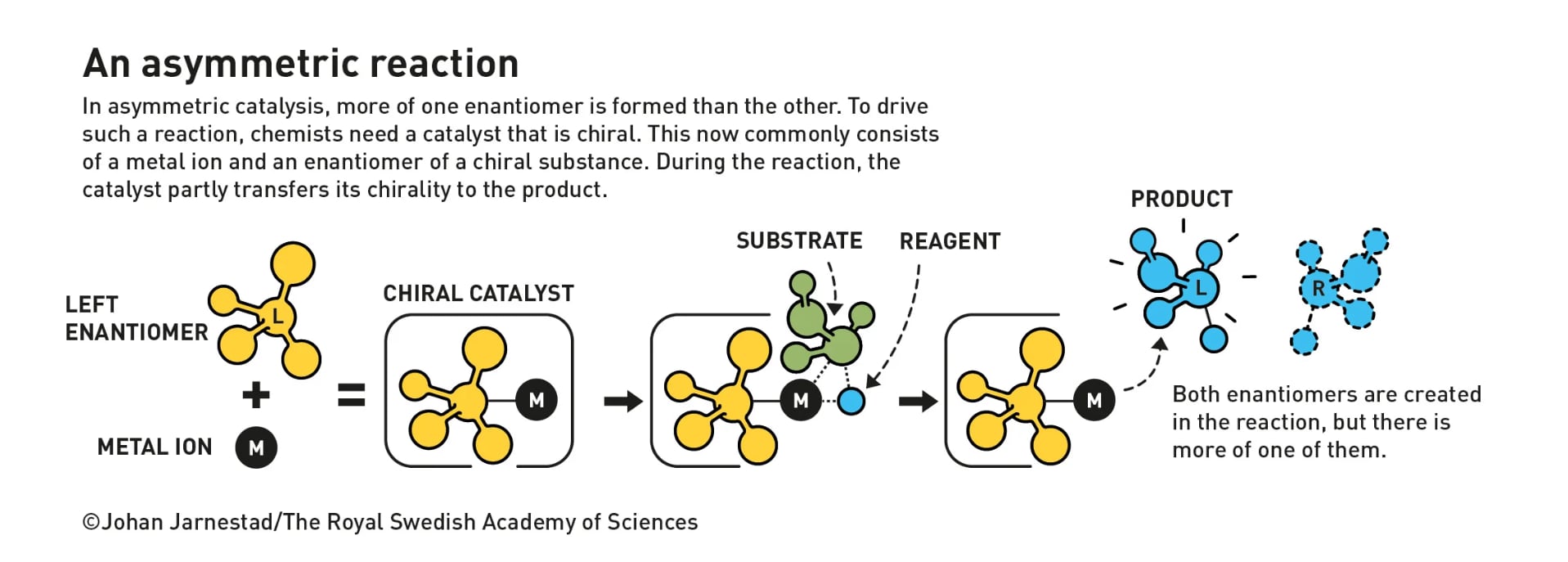 Asymmetric catalysis (Johan Jarnestad/The Royal Swedish Academy of Sciences) Asymmetric catalysis (Johan Jarnestad/The Royal Swedish Academy of Sciences)