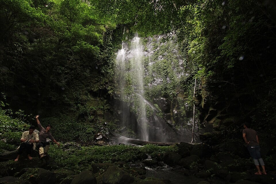 Leuser is the only place on Earth where tigers, rhinos, orangutans, and elephants all live together. (Wikimedia Commons) Leuser is the only place on Earth where tigers, rhinos, orangutans, and elephants all live together. (Wikimedia Commons)