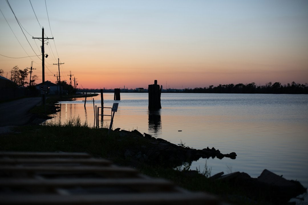 The 2022 Mid-Barataria restoration plan sought to rebuild wetlands using Mississippi River sediment. It received significant funding but encountered challenges, leading to its termination in 2025 due to cost and permitting concerns. The effort highlights the complexities of large-scale coastal restoration. (Representational/Unsplash) The 2022 Mid-Barataria restoration plan sought to rebuild wetlands using Mississippi River sediment. It received significant funding but encountered challenges, leading to its termination in 2025 due to cost and permitting concerns. The effort highlights the complexities of large-scale coastal restoration. (Representational/Unsplash)
