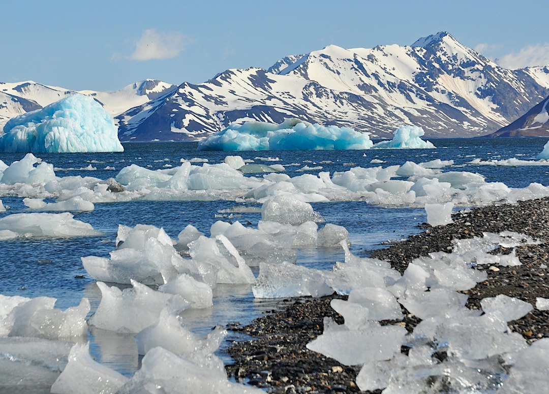 The delicate balance in the Arctic ecosystem needs to be preserved carefully. (Unsplash) The delicate balance in the Arctic ecosystem needs to be preserved carefully. (Unsplash)