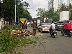 SEIAA has been given two months from the uploading of the judgment to take a fresh decision. (HT)