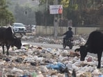 The highest number of challans — 8,231 — were issued for the use of banned plastic, totalling  <span class='webrupee'>₹</span>59.82 lakh in fines. (HT)