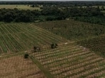 Agriculture (HT File)