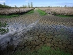 Rajendra Sapate, a resident of Dhop taluka in Mohadi, jumped into a well in a paddy field between 8am and 9am, he said.(AFP/Representative)