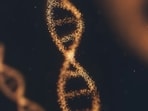 A new study published in Forensic Science International: Genetics, a journal, shows that volunteers who pretended to ransack houses in controlled tests could be identified from DNA pulled from the air 30 minutes after they scarpered. (Unsplash)