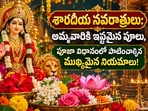 శారదీయ నవరాత్రులు: అమ్మవారికి ఇష్టమైన పూలు, పూజా విధానంలో పాటించాల్సిన ముఖ్యమైన నియమాలు!(AI)