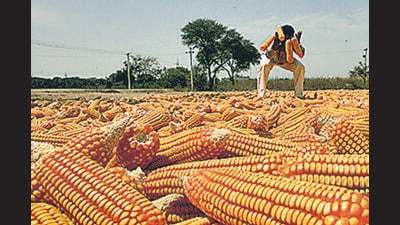 People familiar with the discussions said the US side is exploring several routes into the Indian market, including higher ethanol blends, sustainable aviation fuel and cooking ethanol. (Hindustan Times) People familiar with the discussions said the US side is exploring several routes into the Indian market, including higher ethanol blends, sustainable aviation fuel and cooking ethanol. (Hindustan Times)