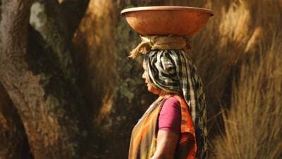 The original MGNREGA Act, passed in 2005, specified eight broad categories of permissible work. (Representative file photo)