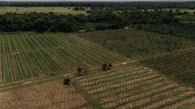 Agriculture (HT File) Agriculture (HT File)