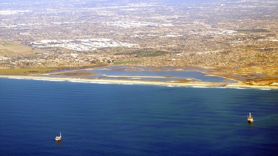 Bolsa Chica’s restored tidal basin is functioning as a nursery for fish and a stopover for Pacific Flyway birds. Its eelgrass, salt marsh and mudflats support diverse wildlife, including endangered nesting birds. The inlet’s upkeep remains costly as waves and tides carry sand into the basin.(Wikimedia Commons)