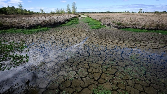Rajendra Sapate, a resident of Dhop taluka in Mohadi, jumped into a well in a paddy field between 8am and 9am, he said.
