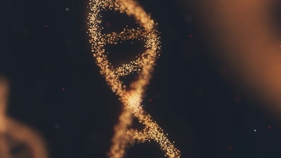 A new study published in Forensic Science International: Genetics, a journal, shows that volunteers who pretended to ransack houses in controlled tests could be identified from DNA pulled from the air 30 minutes after they scarpered. (Unsplash)