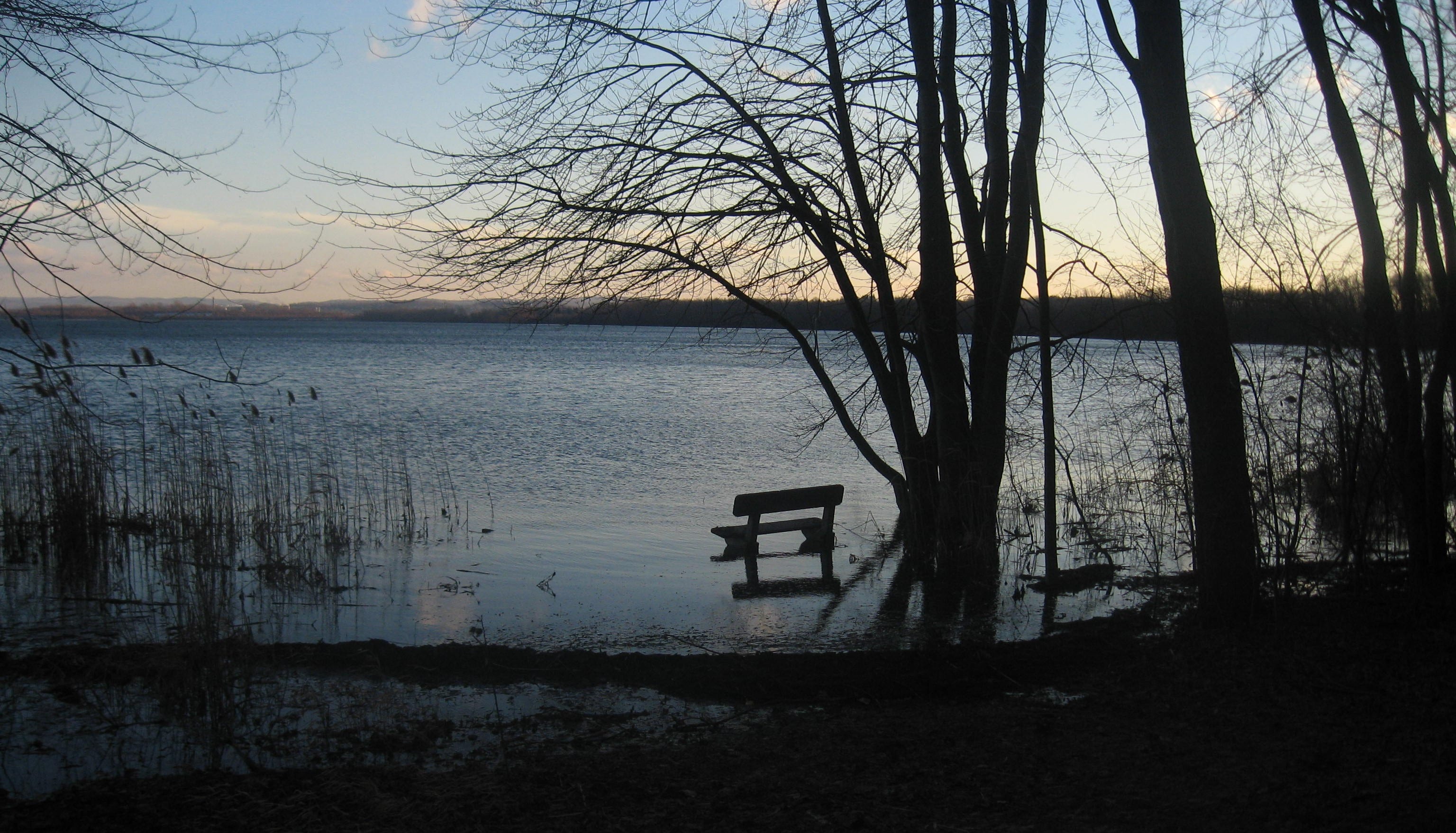 Once subject to swimming and fishing bans, Onondaga Lake has improved after decades of cleanup. Pollution and algal growth have declined, water clarity and biodiversity have increased, and more than 65 fish species are documented. Fishing has resumed, though significant restoration work remains. (Wikimedia Commons)