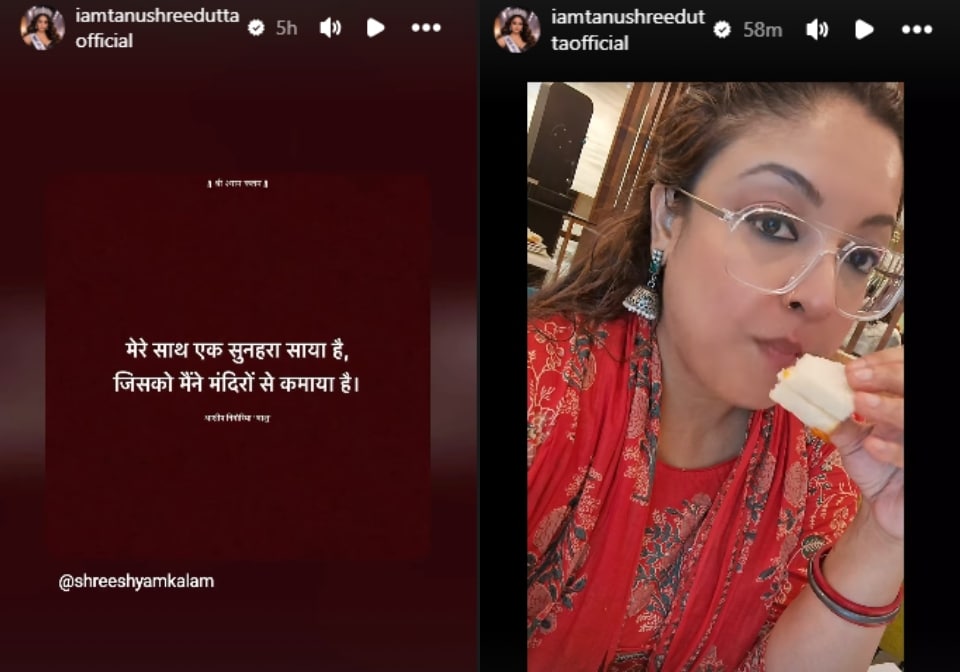 Tanushree Dutta's posts on her Instagram Stories.