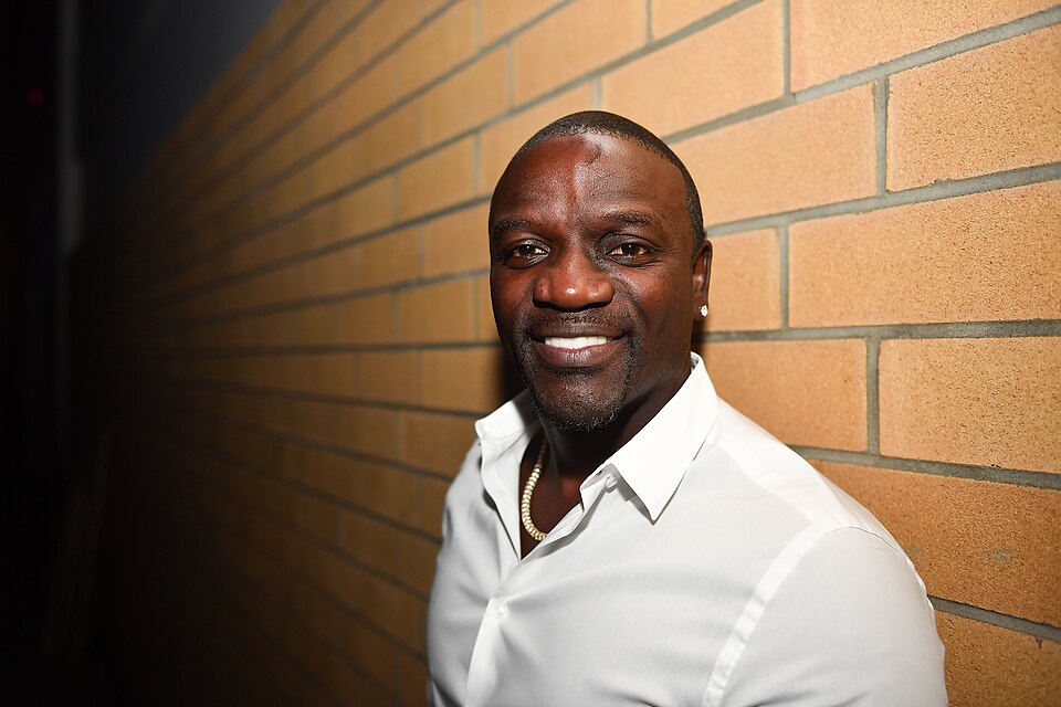 One project can't close a gap this big, but Akon's solar push put the issue in the spotlight. (Wikimedia Commons) One project can't close a gap this big, but Akon's solar push put the issue in the spotlight. (Wikimedia Commons)