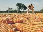 People familiar with the discussions said the US side is exploring several routes into the Indian market, including higher ethanol blends, sustainable aviation fuel and cooking ethanol. (Hindustan Times)