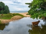 Scene in a picturesque village in Sri Lanka (Shutterstock)