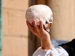 To be, or not to be...: The Hamlet Test (Shutterstock)