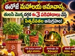 ఈరోజే మహాలయ అమావాస్య.. తులసి మొక్క దగ్గర ఈ 3 పరిహారాలు చేస్తే పితృదేవతల అనుగ్రహం!(AI)
