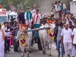 Election results Tamil Nadu LIVE: In this screengrab from a video released on Oct 4, Tamil Nadu CM C Joseph Vijay drives a bullock cart alongside party leaders KG Arunraj and C Vijayabaskar during a campaign roadshow ahead of the Dharapuram Assembly constituency by-election(TVK)