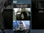Crew-12 Astronauts Return In The SpaceX Dragon Capsule After Eight Months In Space
