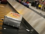 What should you do if your checked-in baggage goes missing?