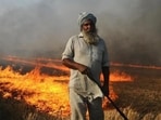In Amritsar, 50 of the 59 reported sites have been inspected, and burning has been physically verified at 18 locations. In Amritsar, 50 of the 59 reported sites have been inspected, and burning has been physically verified at 18 locations.