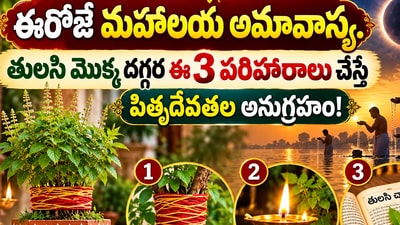 ఈరోజే మహాలయ అమావాస్య.. తులసి మొక్క దగ్గర ఈ 3 పరిహారాలు చేస్తే పితృదేవతల అనుగ్రహం! (AI) ఈరోజే మహాలయ అమావాస్య.. తులసి మొక్క దగ్గర ఈ 3 పరిహారాలు చేస్తే పితృదేవతల అనుగ్రహం! (AI)