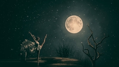 October New Moon in Libra 2026 (Pixabay) October New Moon in Libra 2026 (Pixabay)