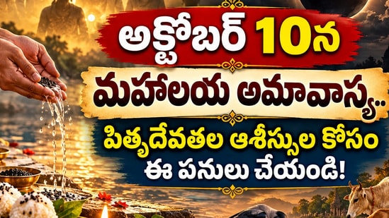 అక్టోబర్ 10న మహాలయ అమావాస్య.. పితృదేవతల ఆశీస్సుల కోసం ఈ పనులు చేయండి! (AI)