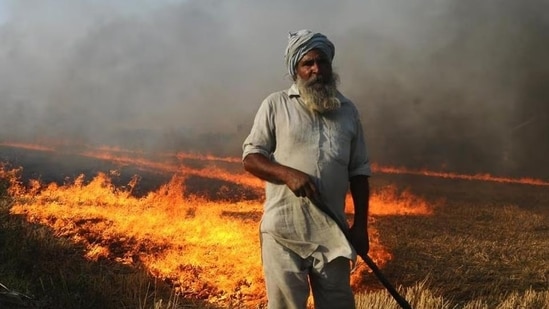 In Amritsar, 50 of the 59 reported sites have been inspected, and burning has been physically verified at 18 locations. (HT_PRINT)