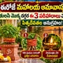 ఈరోజే మహాలయ అమావాస్య.. తులసి మొక్క దగ్గర ఈ 3 పరిహారాలు చేస్తే పితృదేవతల అనుగ్రహం!