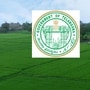జీ.వో 59 ద‌ర‌ఖాస్తుదారుల‌కు శుభ‌వార్త‌