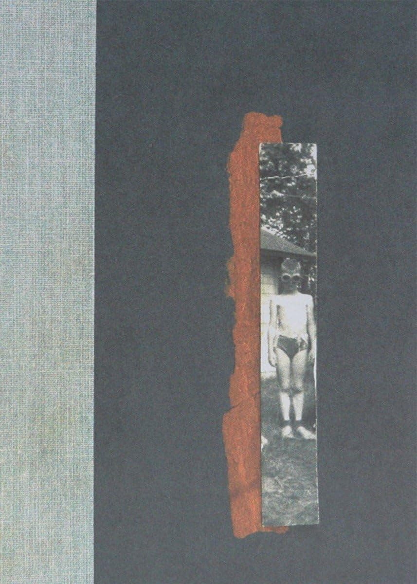 Death and the difficulty of understanding it occupy Nox (2010), an elegy for Carson’s brother, who died after years of separation from his family Death and the difficulty of understanding it occupy Nox (2010), an elegy for Carson’s brother, who died after years of separation from his family