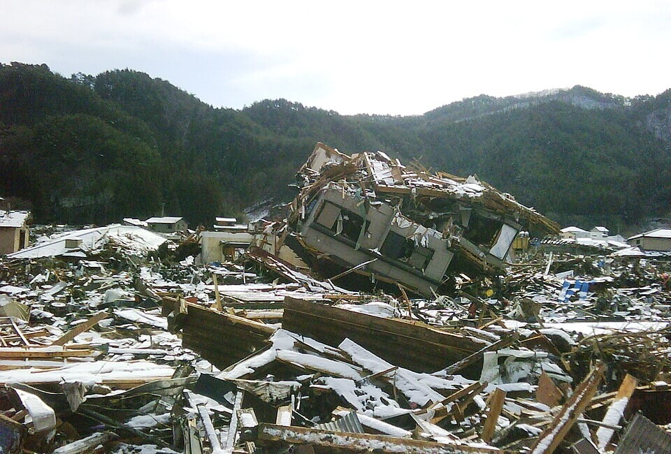 The disaster led to many families leaving their homes in a hurry, and many pets were left behind. (Wikimedia Commons)