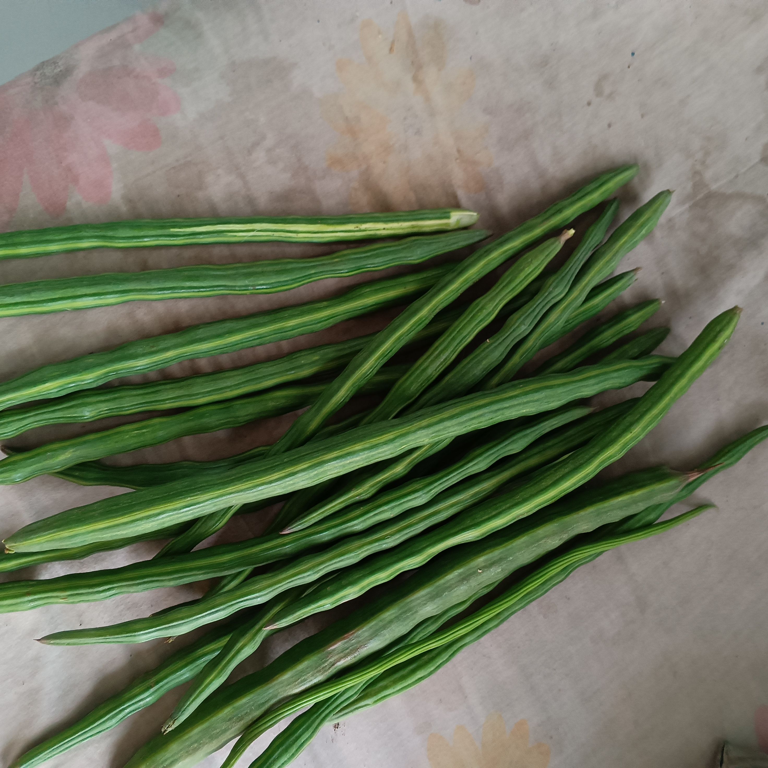 Moringa are rich in fibre and micronutrients, and can be added to dals, curries, parathas, or vegetable preparations. (Pexel) Moringa are rich in fibre and micronutrients, and can be added to dals, curries, parathas, or vegetable preparations. (Pexel)