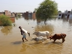It may take another week for the water to drain from the affected localities, an irrigation department official said. (HT File)