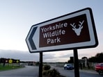 A man died after entering a tiger enclosure at Yorkshire Wildlife Park, prompting closure and a police investigation. (Annabel Lee-Ellis/PA via AP)(Annabel Lee-Ellis/PA via AP)