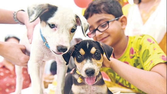 Govt to set up special pet care training course in Mumbai. (Pratham Gokhale/HT PHOTO)