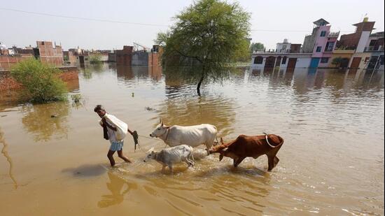 It may take another week for the water to drain from the affected localities, an irrigation department official said. (HT File)