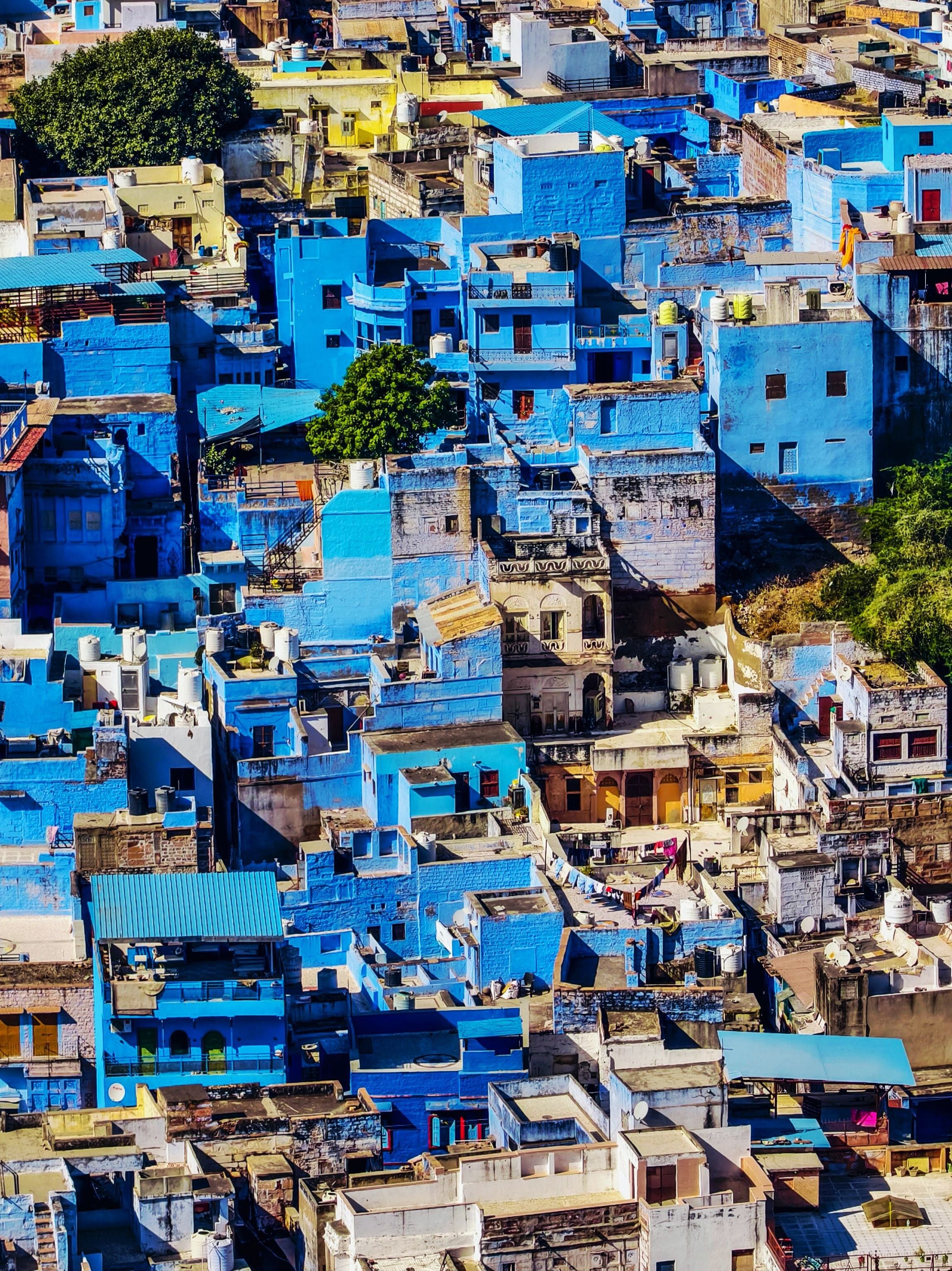 Jodhpur’s blue colour is also a reflection of its rich history and heritage. (Pexel) Jodhpur’s blue colour is also a reflection of its rich history and heritage. (Pexel)