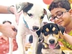 Govt to set up special pet care training course in Mumbai. (Pratham Gokhale/HT PHOTO)