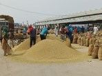 Harvesting is 45–50% complete in Haryana’s rice bowl — Kurukshetra, Kaithal, Karnal, Ambala and Yamunanagar — while late sowing has slowed progress in Fatehabad and Sirsa.